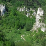 Dolinka Kobylańska, Jura