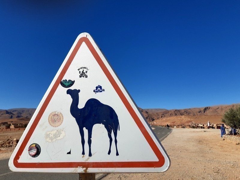 Znak z wielbladem miejsce wyjścia z oazy Oboz wspinaczkowy Cerro Todra Maroko